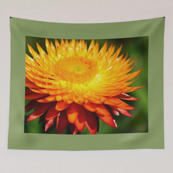 Item preview, Paper Daisy designed and sold by imaginethis.