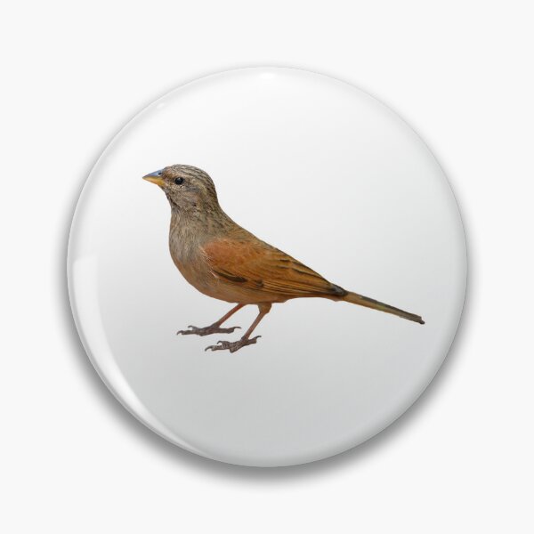 Item preview, Gregor's Bird designed and sold by LordArt.
