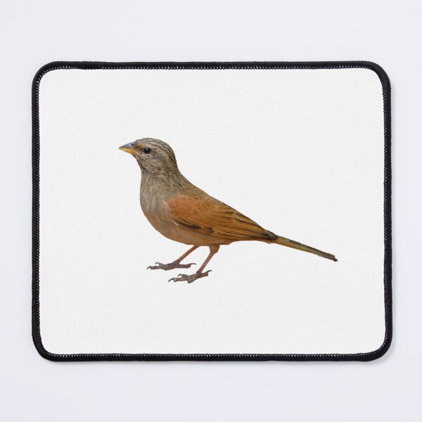 Item preview, Gregor's Bird designed and sold by LordArt.