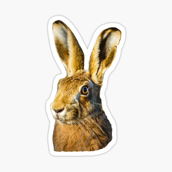 Item preview, Love is in the Hare  designed and sold by OwlOccasions.
