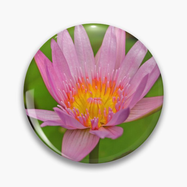 Item preview, Pond in Minh Huong designed and sold by jojobob.