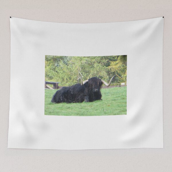 Item preview, Black Highland Coo designed and sold by LynneBlair.