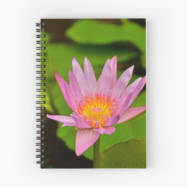 Item preview, Pond in Minh Huong designed and sold by jojobob.
