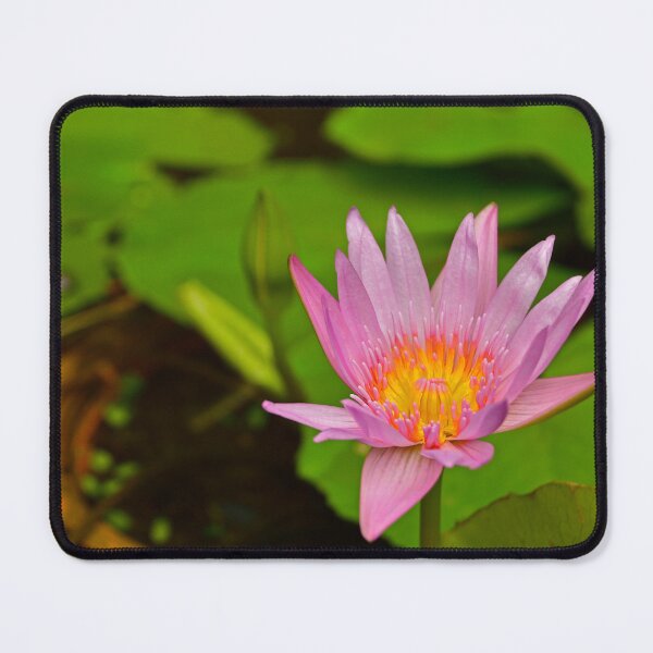 Item preview, Pond in Minh Huong designed and sold by jojobob.