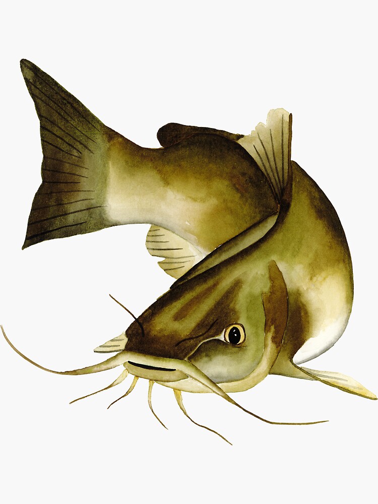 Channel Catfish | Sticker