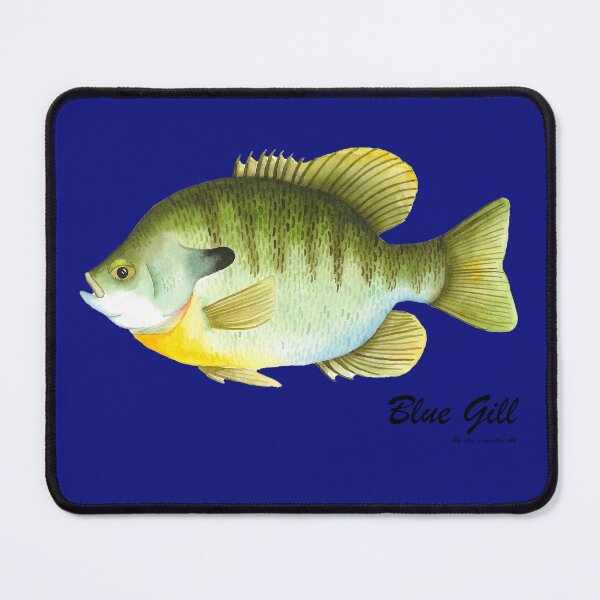 Item preview, Blue Gill designed and sold by ShibaBrie.