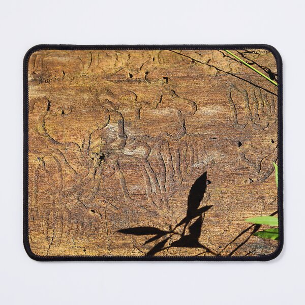 Item preview, Wood Art by Tree-Boring Insects designed and sold by Martha Sherman.