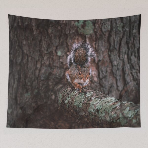 Item preview, Chipmunk designed and sold by Vsaditya2020.