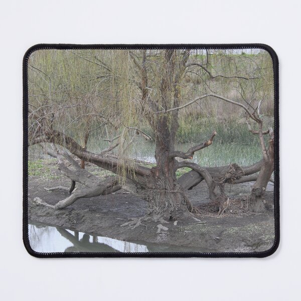 Item preview, Trees Growing in the River designed and sold by Martha Sherman.
