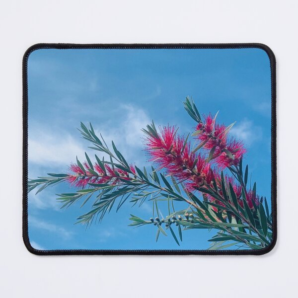 Item preview, Bottlebrush  designed and sold by baksuart.