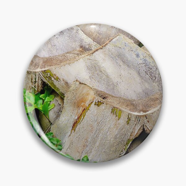 Item preview, Trimmed Palm Trunk  designed and sold by Martha Sherman.