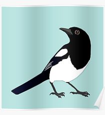 Magpie vector Poster