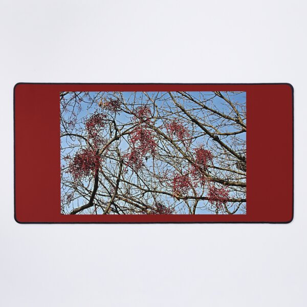 Item preview, California Pepper Trees in Early Winter designed and sold by Martha Sherman.