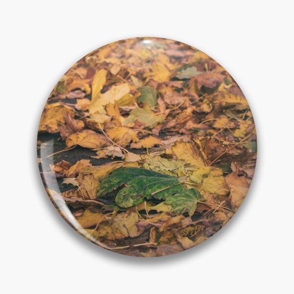 Item preview, Autumn Leaves designed and sold by Murphotography.
