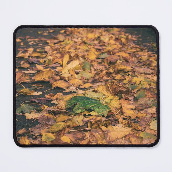 Item preview, Autumn Leaves designed and sold by Murphotography.