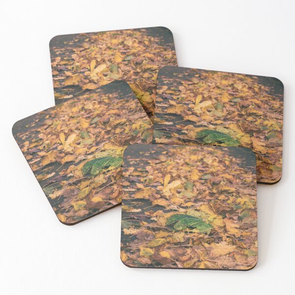 Item preview, Autumn Leaves designed and sold by Murphotography.