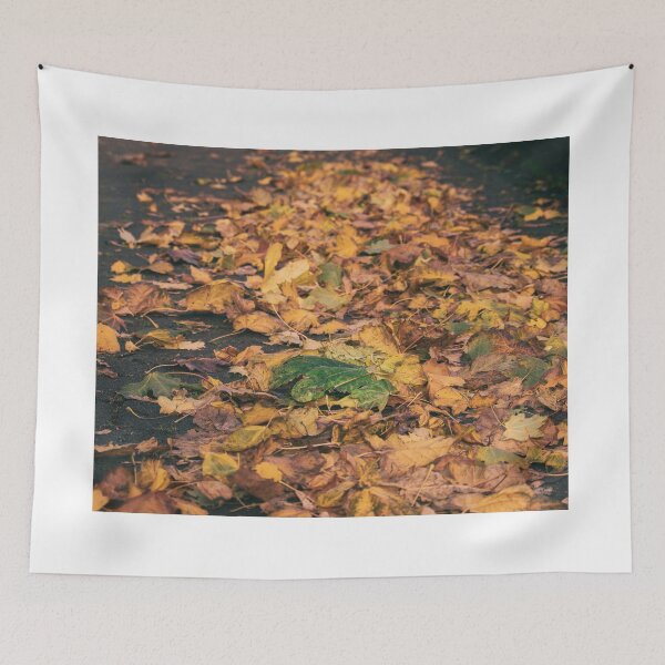 Item preview, Autumn Leaves designed and sold by Murphotography.