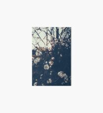 Sunset blossoms Art Board