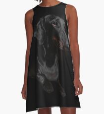BLACK DACHSHUND ON BLACK A-Line Dress