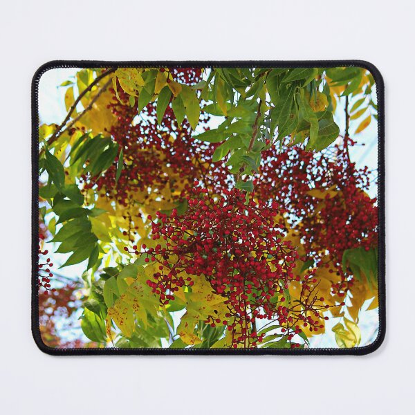 Item preview, California Pepper Tree - 1 designed and sold by Martha Sherman.
