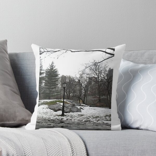 Aperçu de l'œuvre Neige de Central Park créée et vendue par Samjmar.