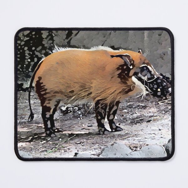 Item preview, #1 Misfit Red River Hog Virginia Zoo designed and sold by BGGretchen.