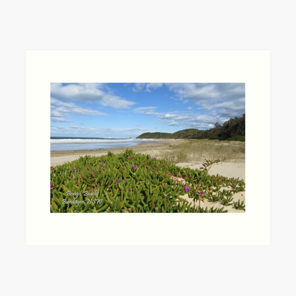 Item preview, Bongil Beach, Bundagen. NSW. Australia designed and sold by Sol Lucas.