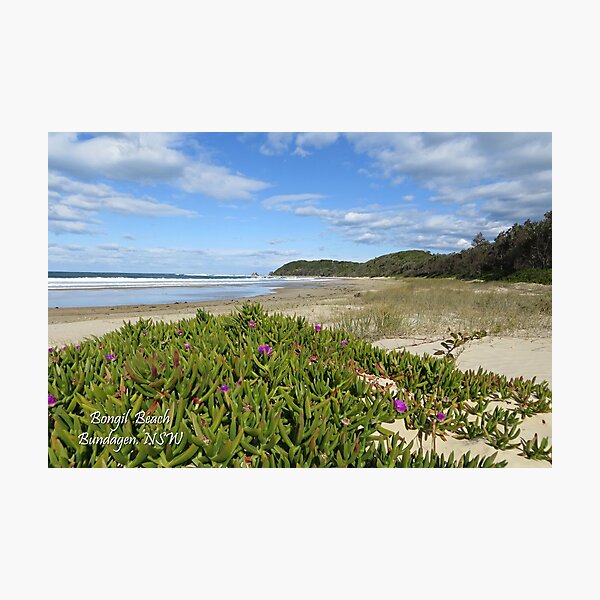 Item preview, Bongil Beach, Bundagen. NSW. Australia designed and sold by Sol Lucas.