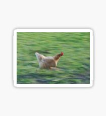 chicken gtg meme Sticker