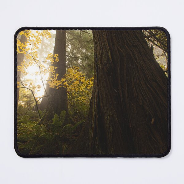 Item preview, Foggy Autumn Forest designed and sold by Brandt Campbell.