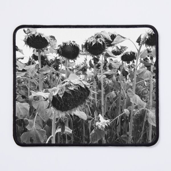 Item preview, wilting sunflowers in black and white designed and sold by Chigurena.