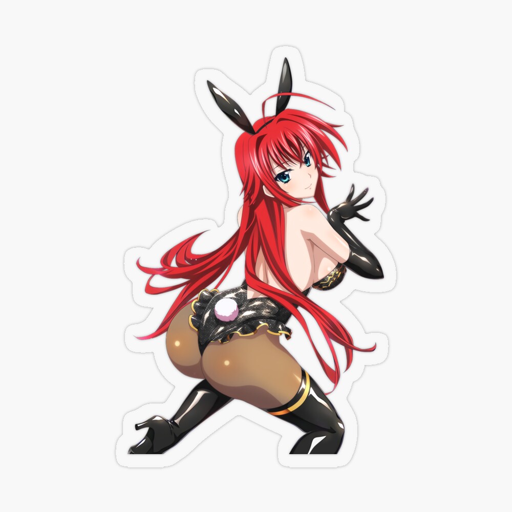 High School DxD - Rias Gremory Bunny Girl