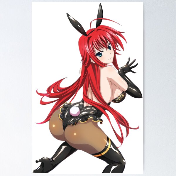 High School DXD Poster for Sale by Marc-santander