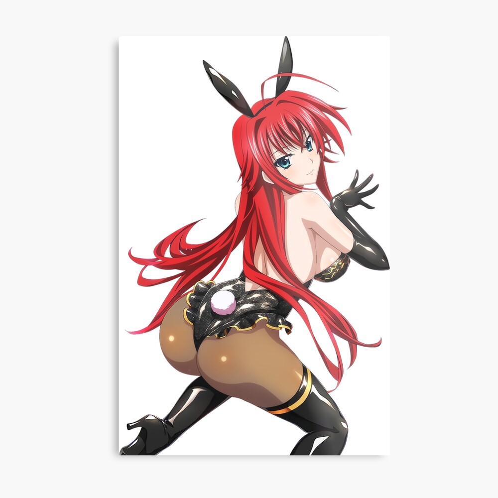 High School DxD - Rias Gremory Bunny Girl Magnet by capuvan | Redbubble