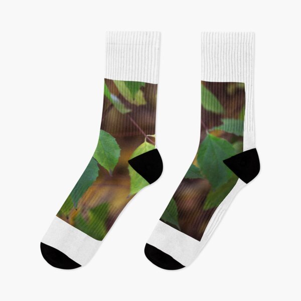 Item preview, Green leaves on nature background designed and sold by olena2552.
