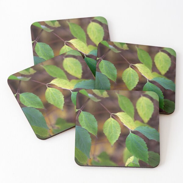 Item preview, Green leaves on nature background designed and sold by olena2552.