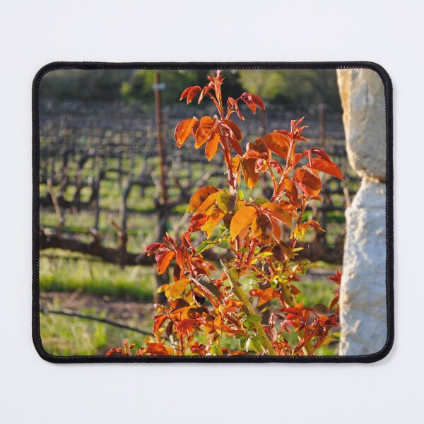 Item preview, Red Vines designed and sold by Escott O. Norton.