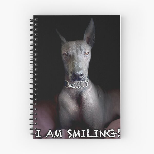Item preview, I am smiling designed and sold by Xolo-Rescue.
