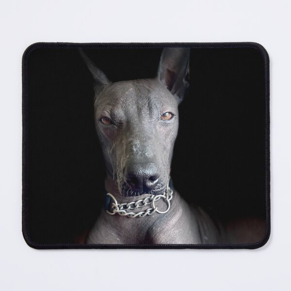 Item preview, I am smiling designed and sold by Xolo-Rescue.