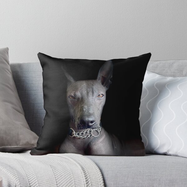 Item preview, I am smiling designed and sold by Xolo-Rescue.