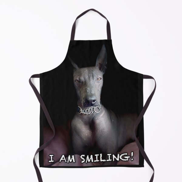 Item preview, I am smiling designed and sold by Xolo-Rescue.