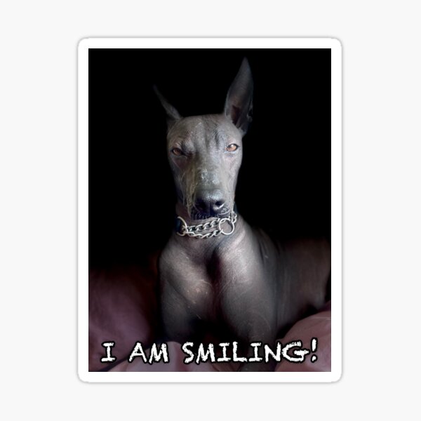 Item preview, estoy sonriendo designed and sold by Xolo-Rescue.