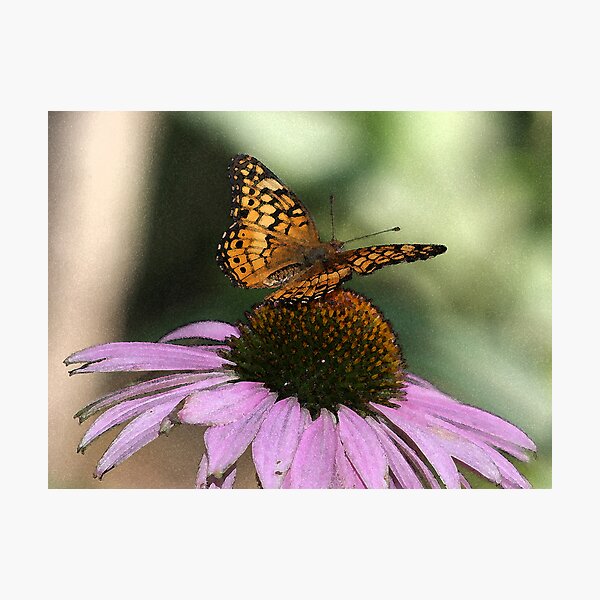 Artikelvorschau, WATERCOLOR BUTTERFLY entworfen und verkauft von mlynnd.