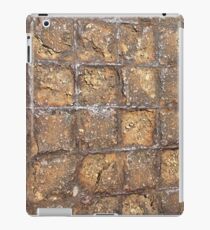 industry iPad Case/Skin