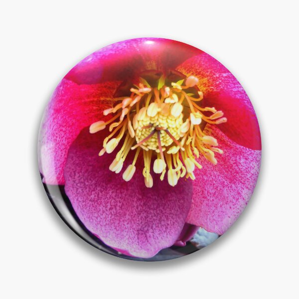 Item preview, Christmas Rose designed and sold by angel1.