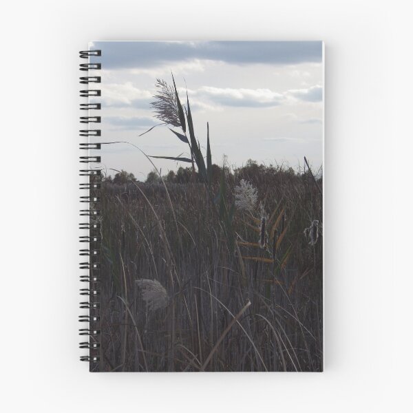 Item preview, Blowing In The Breeze                                     Pentax X-5 16 MP designed and sold by TKUsitalo.