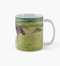 Dartmoor Foal With Mother Mug