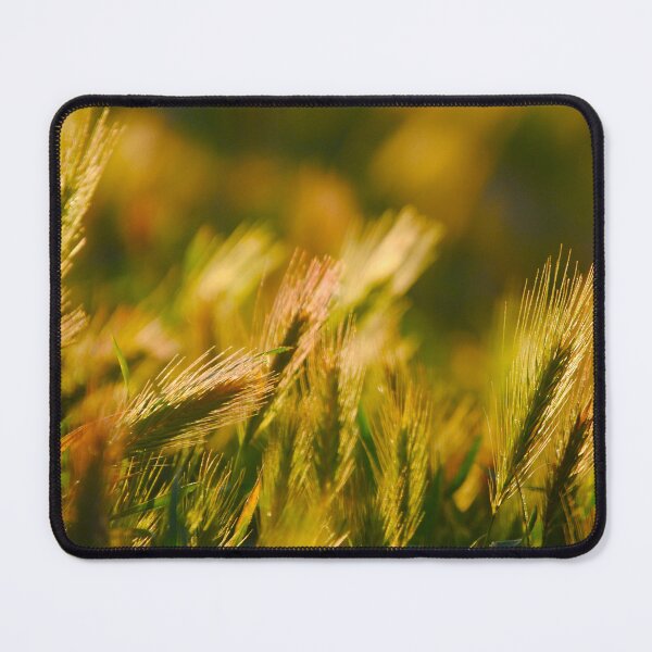 Item preview, Grasses at Sunset designed and sold by Escott O. Norton.
