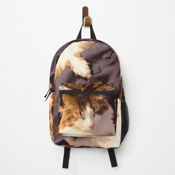 Item preview, Kitty world designed and sold by Amospicazo.