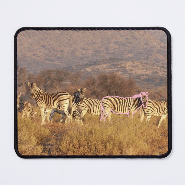 Item preview, You lookin at me? Zebras in Namibia eye the camera. designed and sold by Cowboy Folly.